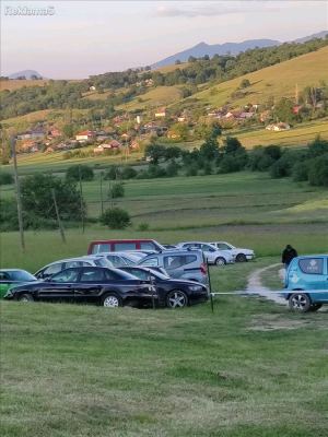 NIVI LIVADI SHUMA