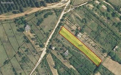 Нива од 1 декар над Маркова Чешма (кај Локвенец)