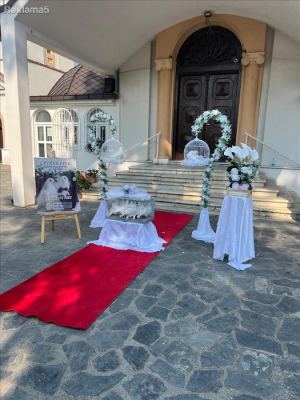 Golubi za vencavki i svadbi