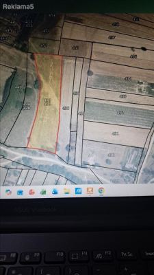 Prodavam niva vo Gorno Konjari 10.000m²