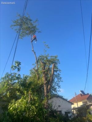 SECENJE NA DRVA I GRANKI СЕЧЕЊЕ НА ДРВА И ГРАНКИ PILA TRIMER